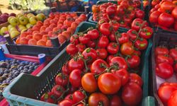 IĞDIR'DA PAZARDA YANGIN VAR: DOMATES 90 TL'Yİ GÖRDÜ!