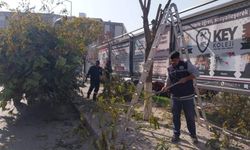 Iğdır’da Ağaçlar Budanıyor