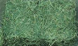 KAZIM KARABEKİR TARIM İŞLETMESİ MÜDÜRLÜĞÜNDEN