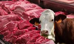 Iğdır’da Kırmızı Et Fiyatlarına Yeni Şok: Dana Eti 680 TL, Kuzu Eti 570 TL’ye Yükseldi!