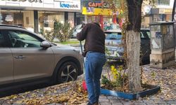 Iğdır’da Esnaftan Yaprak Mesaisi: Geceleri Don, Sabahları Temizlik