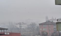 IĞDIR'DA SİS ETKİLİ OLDU: GÖRÜŞ MESAFESİ DÜŞTÜ