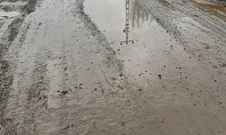 Yukarı Çamurlu Köyünde Yol Çilesi: Öğrenciler Her Gün Çamur İçinde Okula Gidiyor