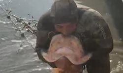 Iğdır’da Yayın Balığını Eliyle Avlıyor