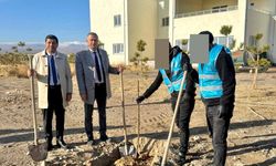 Denetimli Serbestlikten Yararlanan Hükümlüler OSB’de Çevre İçin Çalıştı