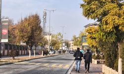 Yağmurun Ardından Güneşli Hava Etkili Oldu