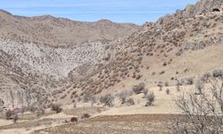 30 yıl sonra ilk kez yollar açılıyor