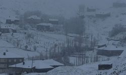 43 yerleşim yerinin yolu ulaşıma kapandı