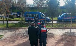 5 ilde dolandırıcılık operasyonu