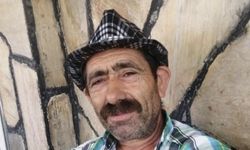 Ağaç kesiminde yardım ederken hayatını kaybetti