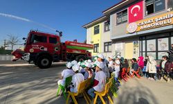 Ağaç yaşken eğilir eğitimi