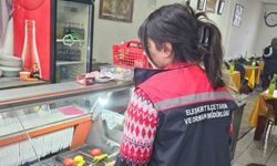 Ağrı’da gıda güvenliği çalışmaları kapsamında 750 işletme kontrolden geçti