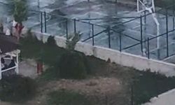 Ankara’da iki kardeşe saldıran pitbullun sahibinin, köpeğini tasmasız ve ağızlıksız gezdirdiği görüntüler ortaya çıktı