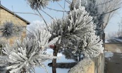 Araçlarını soğuktan korumak için battaniyelerle örtüyorlar
