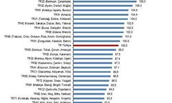 Aydın-Denizli-Muğla Bölgesi, Türkiye ortalamasına göre daha pahalı