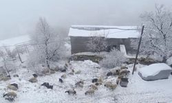 Bahçesaray'da kar yağışı