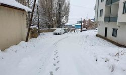 Başkale’de kar etkili oldu