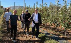 Başvurularında son gün 31 Aralık