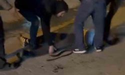 Bıçaklı kavga: 3 yaralı