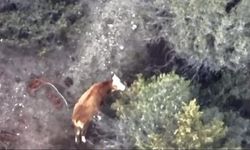 Çiftçinin imdadına AFAD ve jandarma yetişti