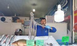 Denize kıyısı olmayan Kahramanmaraş’ta balığa yoğun ilgi