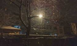 Erciş'te kar yağışı