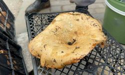 Fiyatı 300 liradan 100 liraya düştü