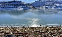 Gölet buz tuttu, soğuk hava etkisini artırdı
