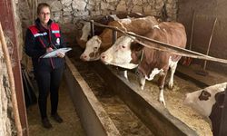 hayvancılık yapan besicilere yönelik denetim