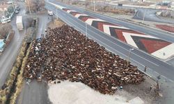 Iğdırlı göçerler, zorlu yolculuğun ardından Iğdır’a ulaştı