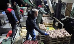 İğneada Balıkçı Barınağı'nda su ürünleri denetimi