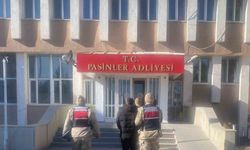 Jandarma büyükbaş hayvan hırsızlarını kısa sürede yakaladı