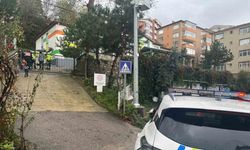 Kamyonet 4 yaşındaki çocuğun ölümüne yol açtı