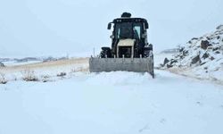 Kar esareti başladı