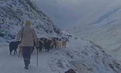 Kar ve tipi hayatı durdurdu