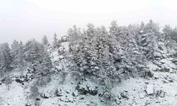 Kar yağışı etkili oluyor