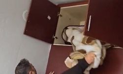 Konya’da Aranan şahsın yakalandığı yer pes dedirtti