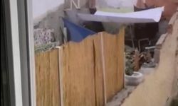 Köpeğe eziyet eden şahıs yakalandı