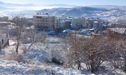 Kulp'ta tüm sokaklar buz tuttu, araçlar yola çıkamadı