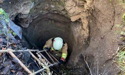 Kuyuya düşen köpek itfaiye ekiplerince kurtarıldı