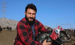 Memleketine çiftlik kurdu