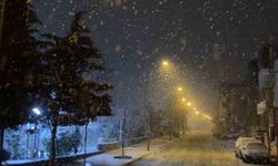 Mevsimin ilk karı yağdı