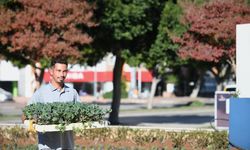 Mevsimlik çiçek ekimi