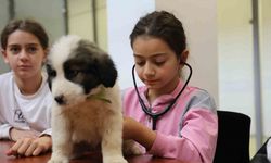 Minik veterinerler görev başında
