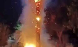 Palmiye ağacını ateşe verdiler