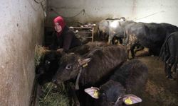 Siparişlere yetişemez hale geldi