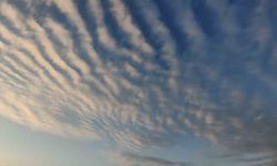 Sirrokümülüs bulutları Van semalarında görsel şölen sundu