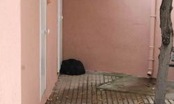 Şüpheli çanta paniği