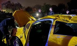 Taksi tarlaya uçtu: 1 yaralı