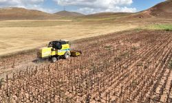 Tarımsal girdi fiyatları yıllık yüzde 33,66 arttı